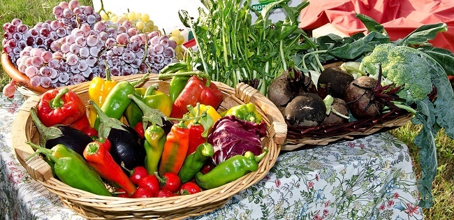 kosz z warzywami i owocami