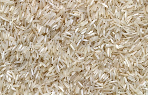 Ziarna białego ryżu